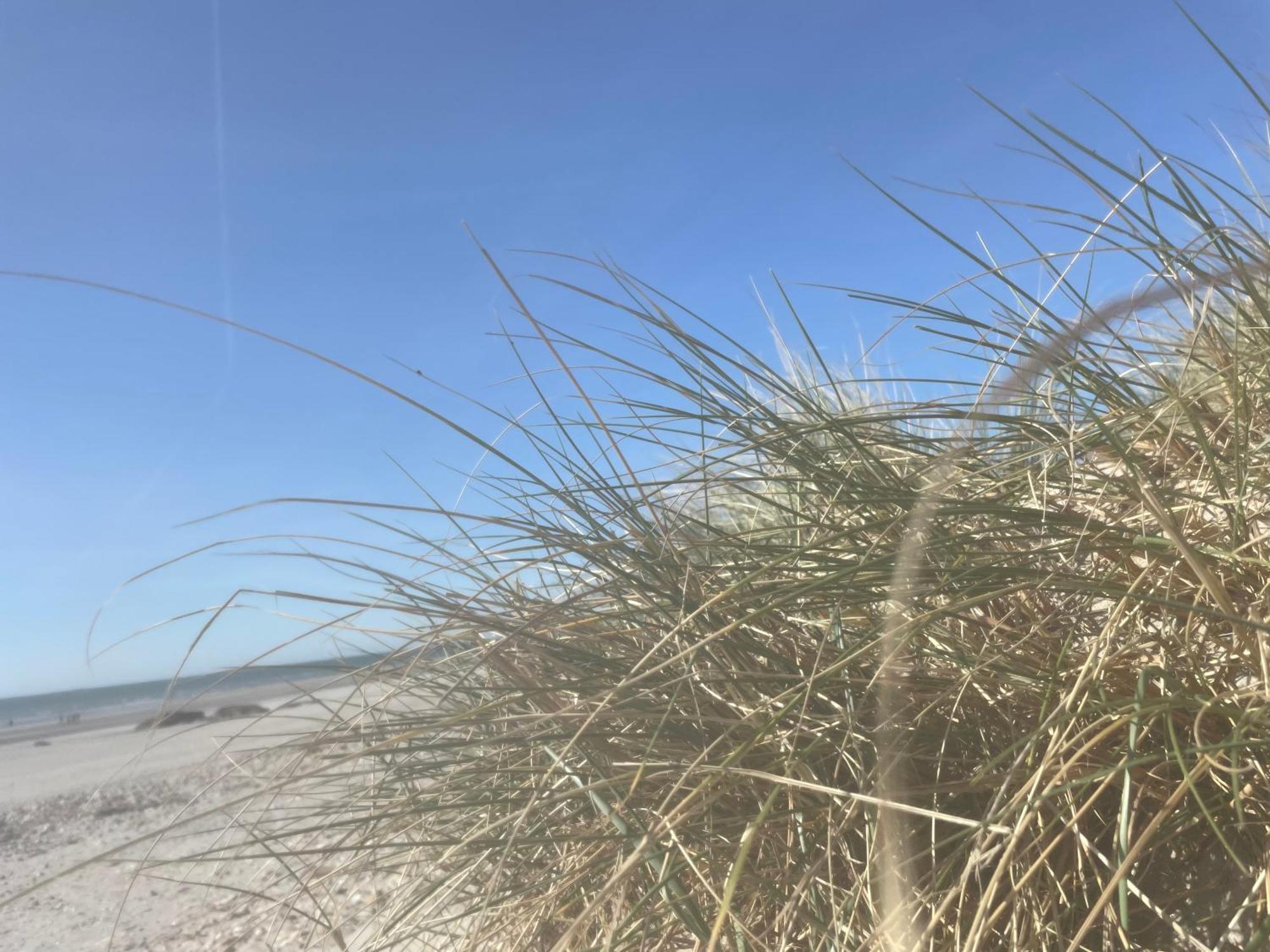 Vue Mer, Golfe Et Dunes- Residence Dunes Du Golfe Wimereux Bagian luar foto